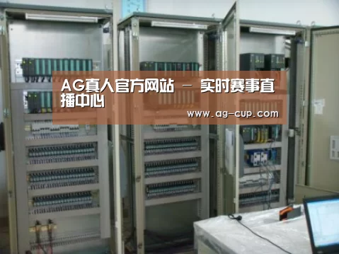 AG体育案例展示五