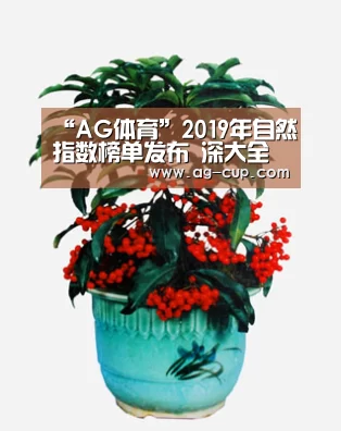 “AG体育”2019年自然指数榜单发布 深大全球排名两年提升298位(图2) AG足球