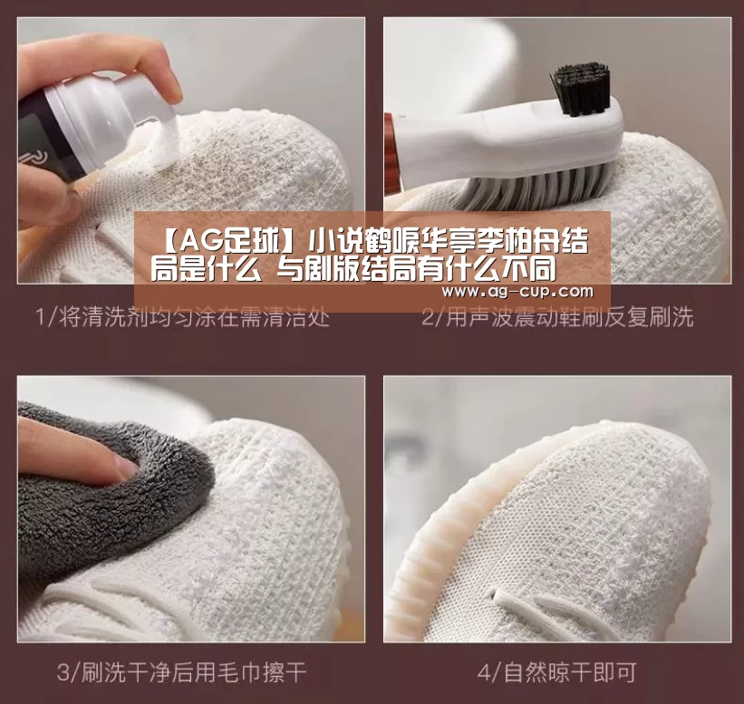 【AG足球】小说鹤唳华亭李柏舟结局是什么 与剧版结局有什么不同(图1) AG足球