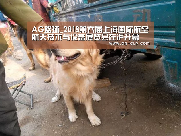 AG篮球_2018第六届上海国际航空航天技术与设备展览会在沪开幕(图3) AG体育