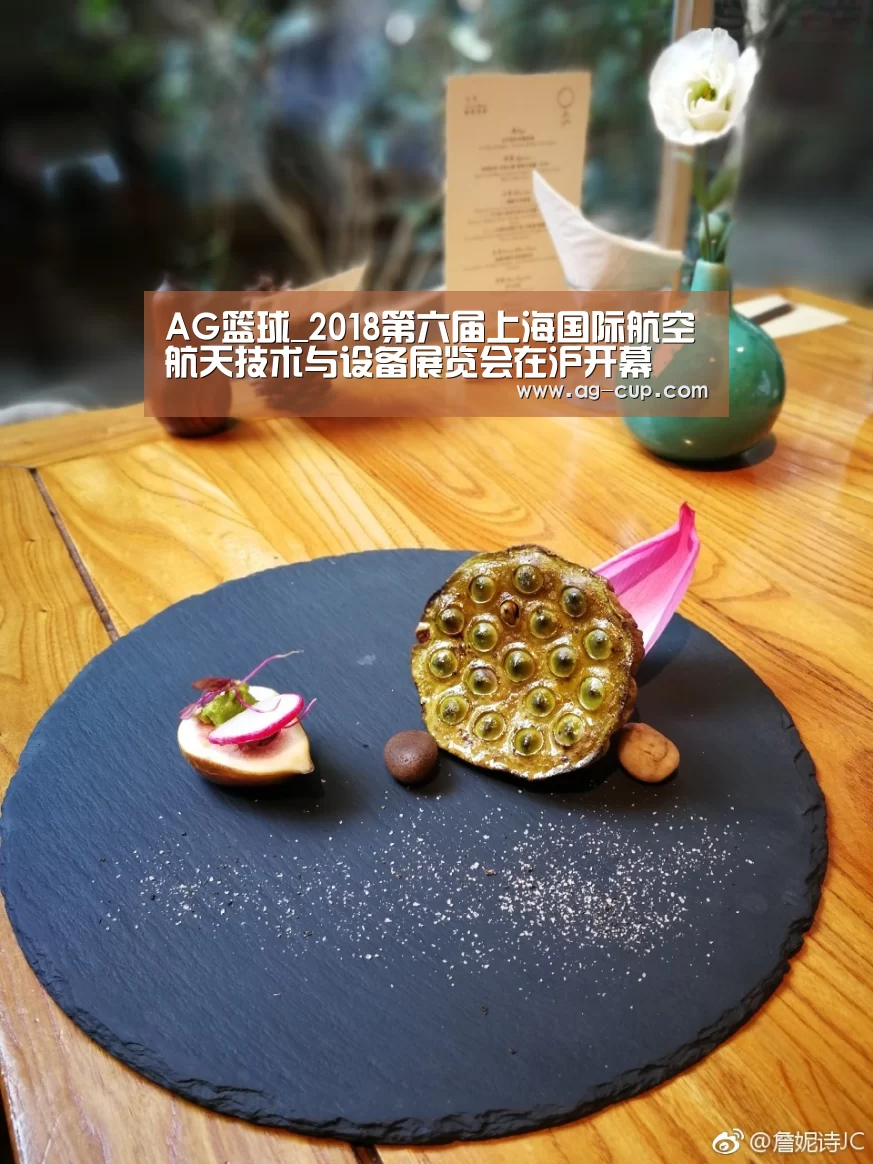 AG篮球_2018第六届上海国际航空航天技术与设备展览会在沪开幕(图2) AG篮球