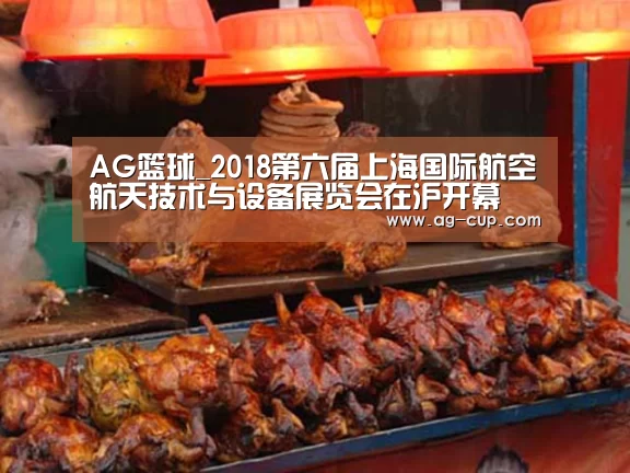 AG篮球_2018第六届上海国际航空航天技术与设备展览会在沪开幕(图4) AG足球