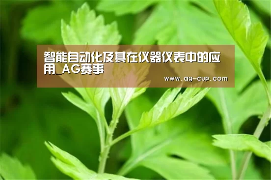 智能自动化及其在仪器仪表中的应用_AG赛事(图2) AG体育