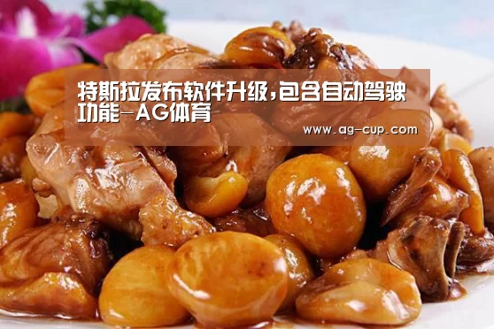 特斯拉发布软件升级,包含自动驾驶功能-AG体育(图2) AG赛事