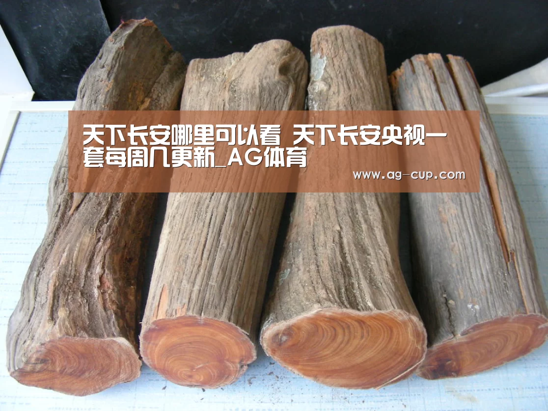 天下长安哪里可以看 天下长安央视一套每周几更新_AG体育(图2) AG篮球