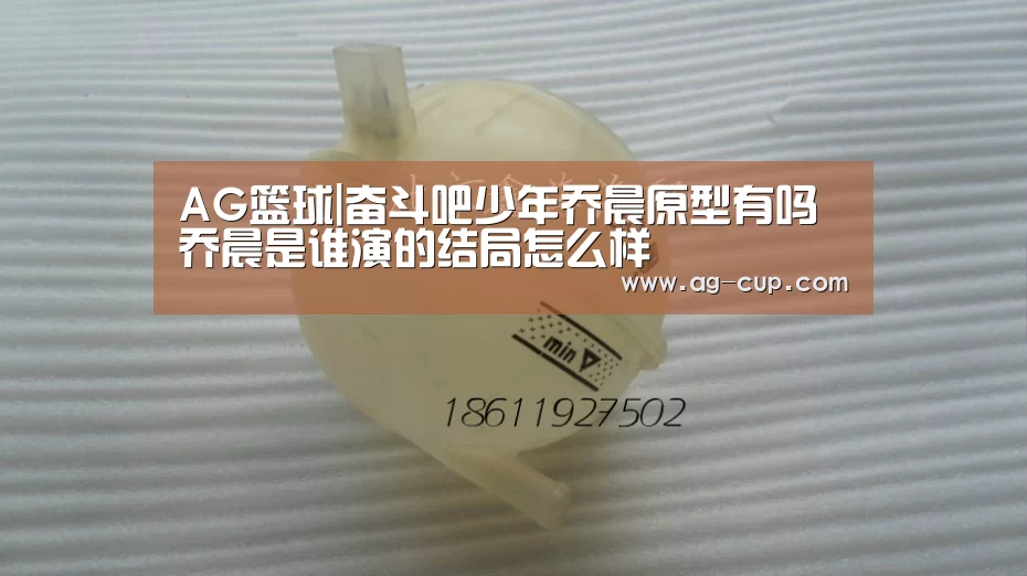 AG篮球|奋斗吧少年乔晨原型有吗 乔晨是谁演的结局怎么样(图1) AG足球