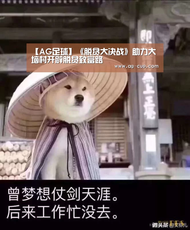 AG足球