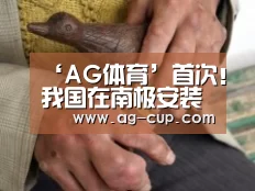 ‘AG体育’首次!我国在南极安装高空激光雷达(图2) AG赛事