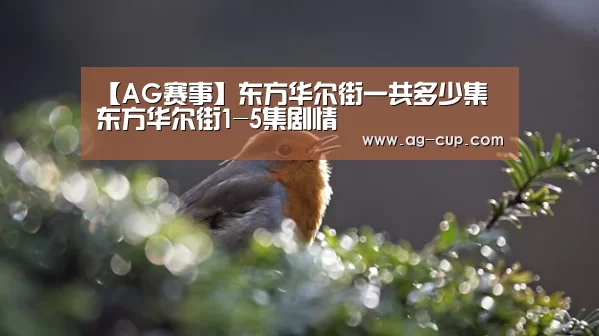 AG体育