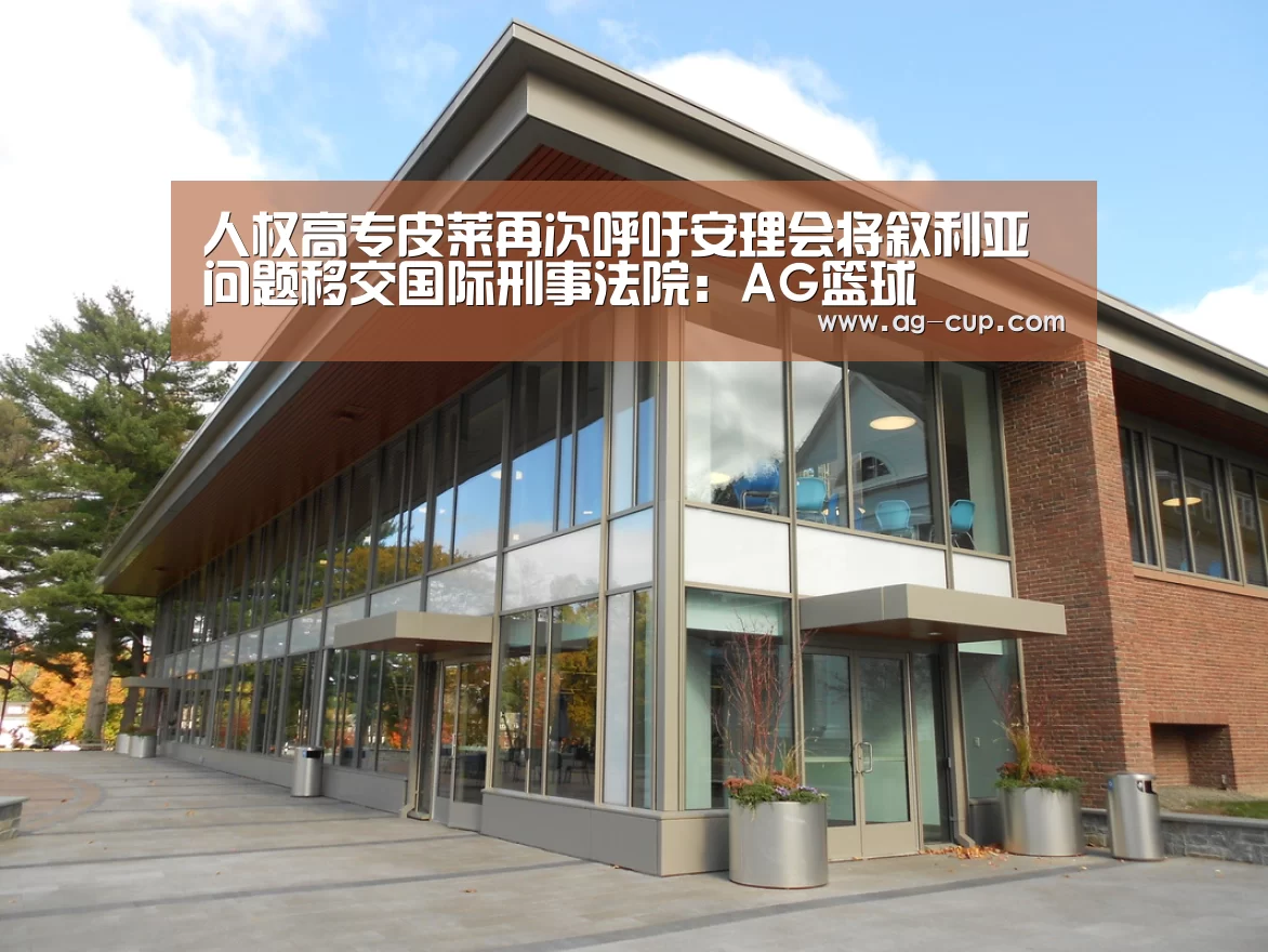 人权高专皮莱再次呼吁安理会将叙利亚问题移交国际刑事法院:AG篮球(图2) AG足球