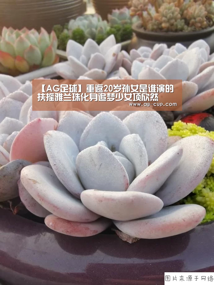 【AG足球】重返20岁孙女是谁演的 扶摇雅兰珠化身追梦少女项欣然(图1) AG篮球