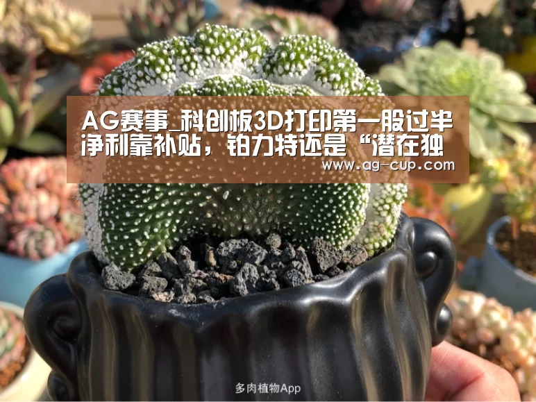 AG赛事_科创板3D打印第一股过半净利靠补贴,铂力特还是“潜在独角兽”吗?(图1) AG赛事