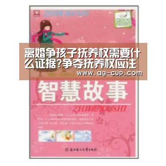 离婚争孩子抚养权需要什么证据?争夺抚养权应注意哪些问题?‘AG体育’(图1) AG足球